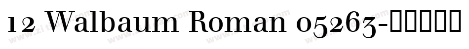 12 Walbaum Roman 05263字体转换